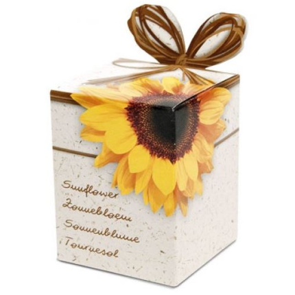 Sonnenblumendose - Topgiving